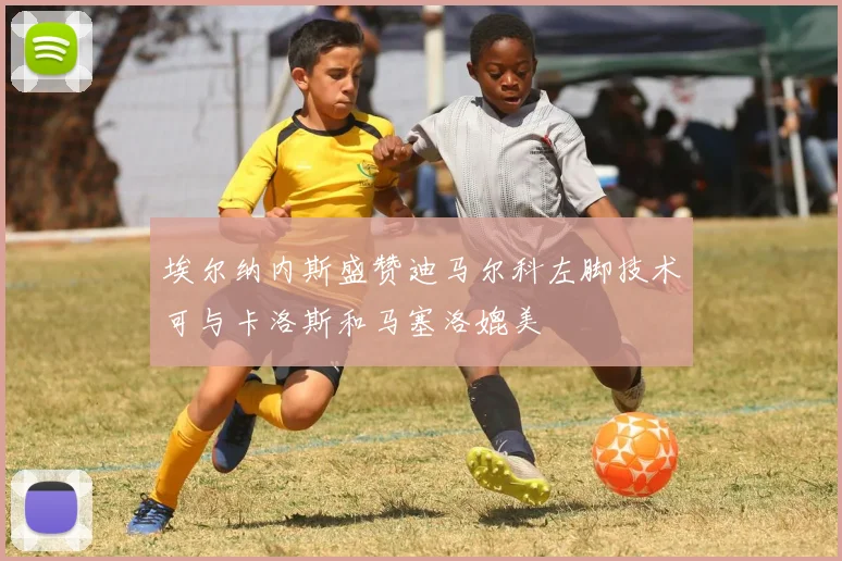 埃尔纳内斯盛赞迪马尔科左脚技术可与卡洛斯和马塞洛媲美