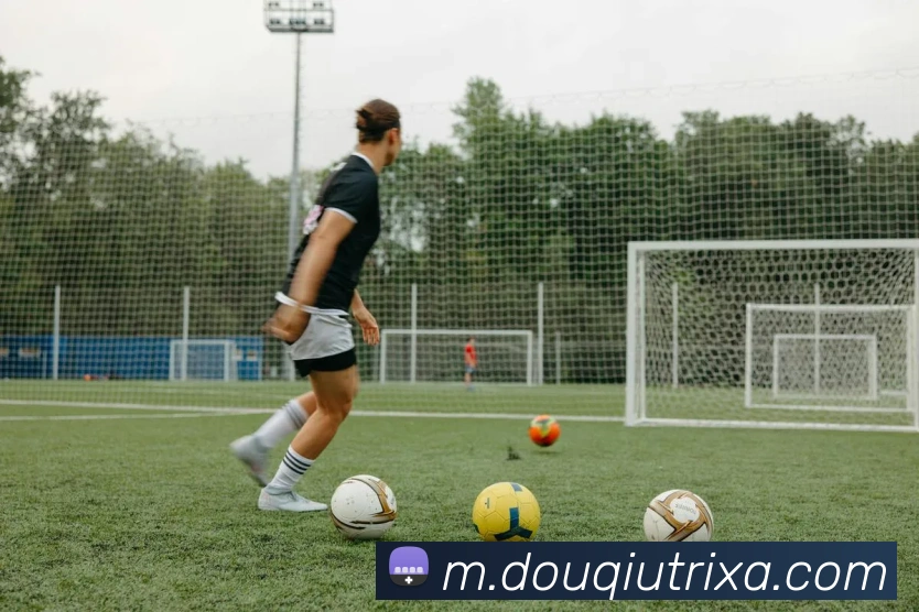 斗球体育平台生态图